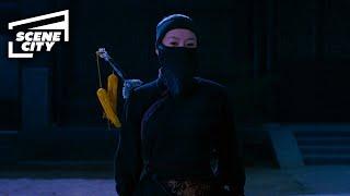 Crouching Tiger Hidden Dragon The Sword Thief HD Scene