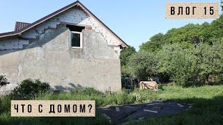 Что случилось с нашим домом  Как перезимовали розы без ухода  Влог 15