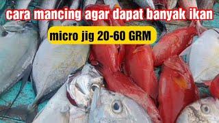 CARA AGAR DAPAT BANYAK IKAN KECILUL JIGING DI KEDALAMAN 40-60 METERPAKAI MICROJIG 20-60 GRM