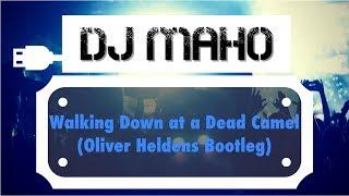 Walking Down at a Dead Camel - Oliver Heldens Bootleg DJ Maho Edit.