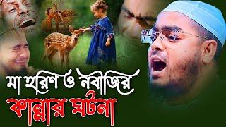 জঙ্গলের প্রানীরাও নবীজিকে ভালোবাসতেনহাফিজুর রহমান সিদ্দিকী কুয়াকাটাhafizur rahman siddiki kuakata