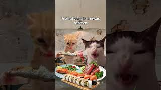 Eskalation beim All you can eat Restaurant #shorts #katze #memes #beziehung #viral