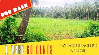 Invest in Nature 1.60 Acre Agriculture Land for Sale near Mypadu Beach RoadNellore