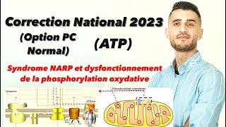 Correction National 2023 PC Normal ATP la phosphorylation oxydative syndrome NARP طريقة الإجابة