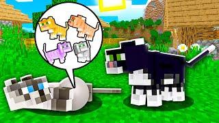 HOW CAT BORN BABY OCELOT? Minecraft NOOB vs PRO 100% TROLLING FAMILY KID CHILD KITTY PET BUILD