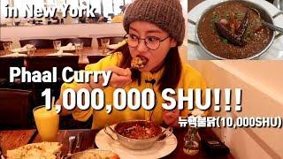 ENG SUB1000000스코빌 뉴핵불닭의 100배 뉴욕 극강의 매운카레 도전먹방 Phaal Curry Extreme Curry challenge mukbang