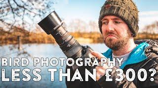 Bird Photography For Under £300 - Canon 7D + Sigma 70-300mm APO