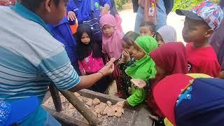 TKM NU Al Balagh Bulutigo Laren LA - Outbound Jatiwangi Tuban - Outbound Kids Tuban - Jatiwangi Park