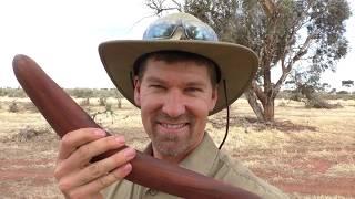 Aussie man hunts rabbits on the run with a Hunting BoomerangThrowstick - Ep. #16