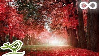 Autumn Colors Beautiful Romantic Music with Piano Cello Guitar & Violin by Peder B. Helland