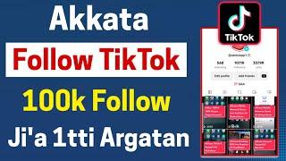 Akkata Follow TikTok 100k Guyyaa Xiqqoo Keessatti Argatan