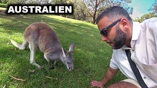 unterwegs auf dem kleinsten Kontinent der Welt  Australien 