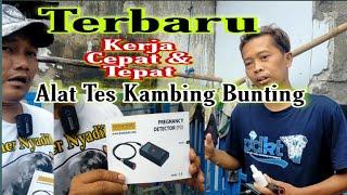 TERBARUALAT TES KAMBING BUNTING Kerja Cepat & Tepat