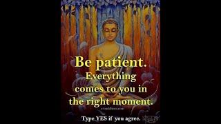 BUDDHA QUOTES THAT WILL ENGLISH YOU  QUOTES ON LIFE THAT WILL CHANGE YOUR MIND 57 TOP PART 56