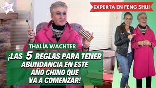 CAMBIA TU ENERGÍA protege tu entorno con la experta Thalia Wachter I Entrevista con Matilde Obregón