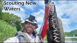 Quick Scouting Trip & New Lure Beefle Spin Spinnerbait & New Area Snakehead Fishing