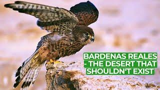 Bardenas Reales - Europes Impossible Desert  Free Documentary Nature