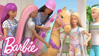 RIDE N STYLE COMPETITION DAY Horse Styling  Barbie