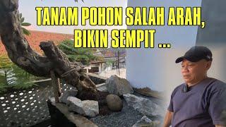 TANAM POHON SALAH ARAH BIKIN SEMPIT ....