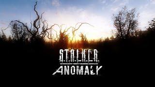 STALKER anomaly 1.5.0 gameplay