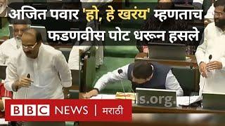 Eknath Shinde Ajit Pawar Funny Video Maharashtra Vidhan Sabha मध्ये जेव्हा अजित पवारांनी हसवलं...