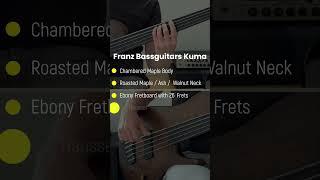 Best Fretless Bass ever? Franz Bassguitars Kuma 5 fretless #shorts #franzbassguitars #fretlessbass