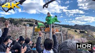   MOCHI THROWING During Ume Plum Festival In Wakayama