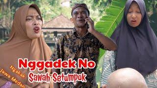 Part 67 NGGADEKNO SAWAH SETUMPOK #komedijawa #medanviral #atoklabu #suriname