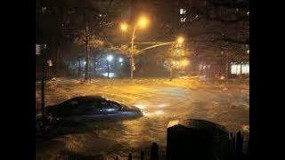 FENDERS NEWS  FENDERS PROPHECY FULFILLED. HURRICANE SANDY. RED HOOK.