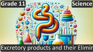 Excretory products and their Elimination  Class 11  Science  Biology  CBSE  ICSE