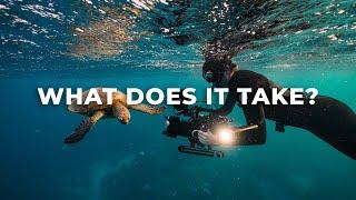 We Spent 8 Days Chasing 5 Perfect Seconds of Footage  Wildlife Cinematography Behind The Scenes