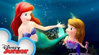 Sofia Meets Ariel  Sofia the First  Disney Junior