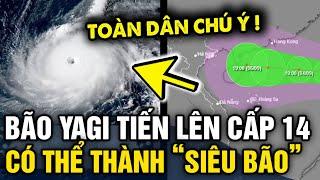 Tin bão Yagi mới nhất SẼ LÊN CẤP 14 và có khả năng phát triển thành SIÊU BÃO số 3 2024  Tin 3 Phút