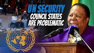 South Africas Dr. Naledi Pandor Says 5 UN Security Council States Are The Most Problematic