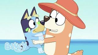 The Beach  Full Episode  Bluey