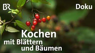 Selbstversorger-Menü aus dem Wald - Kochen mit Blättern und Früchten  Freizeit  Doku  BR