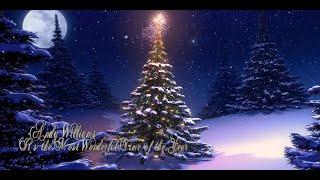 Andy Williams - Its the Most Wonderful Time of the Year