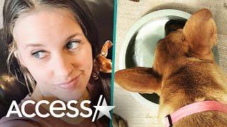 Jill Duggar Fed Her Dog Breast Milk