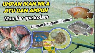 Racikan Umpan ikan Nilapaling jitu dan Ampuh  Bahan sederhana dan murah.