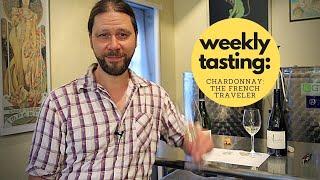 Chardonnay The French Traveler with Wine Pro Marc Supsic  Clip