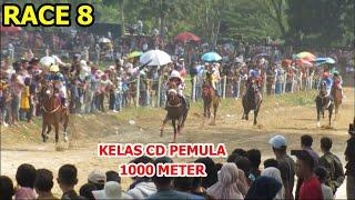 RACE 8  KELAS CD PEMULA - PACU KUDA PAYAKUMBUH 2024