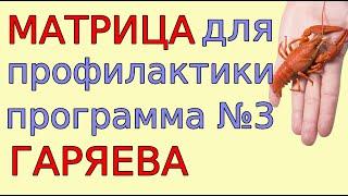 Программа №3. Медитация с универсальной матрицей профилактики.