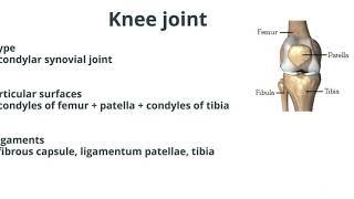 Joints of the lower limb MADE EASY