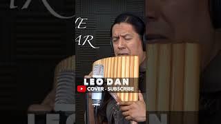 LEO DAN Te he prometido INKA GOLD #shorts #inkagoldmusic #panflute