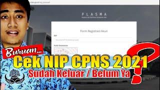 CARA CEK NIP CPNS 2021 