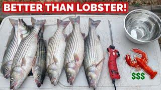 The FISH That Tastes BETTER THAN LOBSTER -- CATCH & COOK it THIS WAY AMAZING