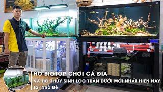 HỒ BIOTOP CHƠI CÁ ĐĨA VÀ HỒ THỦY SINH LỌC TRÀN DƯỚI MỚI NHẤT HIỆN NAY tại Nhà Bè  Jarvis Tank