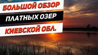 Обзор платных озер Киевской области  Где ловить рыбу ?