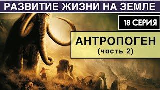 ЧЕТВЕРТИЧНЫЙ ПЕРИОД часть 2 . Развитие жизни на Земле. 18 серия  Плейстоцен. Антропогенез