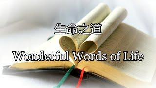 生命聖詩168  生命之道  Wonderful Words of Life